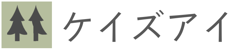 株式会社ケイズアイ